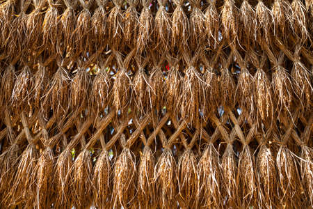 Bunch of jasmine riceの写真素材