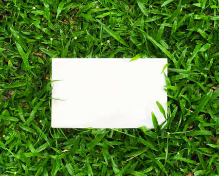 Top view of empty paper on green grass.の素材