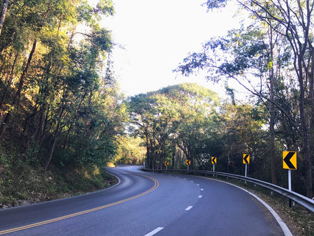Road around the nature.