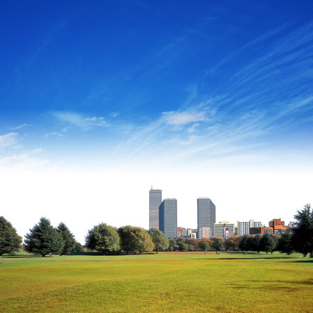Landscape City view Lake reflection with green field and trees.