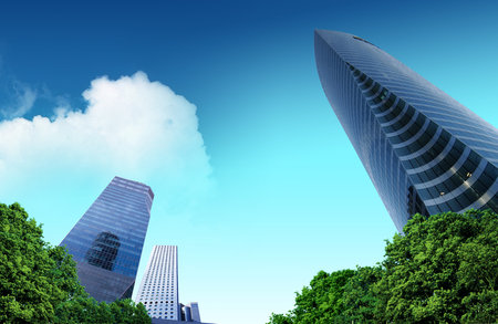 Low angle view of skyscrapers and green trees in the city