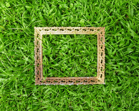 Frame on green grass background, vintage style picture frame on green grass