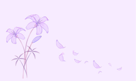Illustration of a purple lily with butterflies on a purple backgroundのイラスト素材