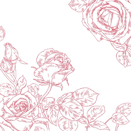Hand drawn beautiful rosesのイラスト素材