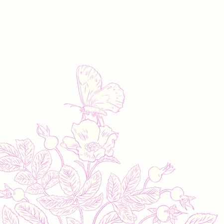 contour drawing beautiful rosehip and butterflyのイラスト素材