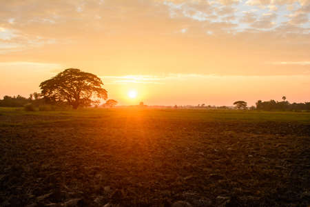 sunset on the farm, countryside of Myanmar, Nov-2017のeditorial素材
