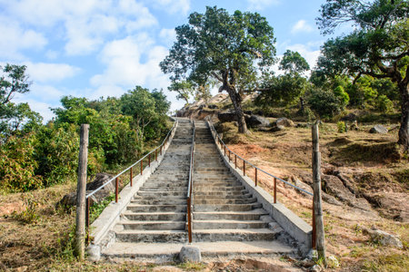 stairway to the top of hill, with trees and cloudy skyの写真素材