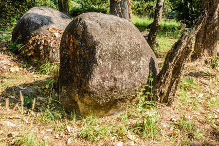 photo of big stones and rocky land in the forestの写真素材