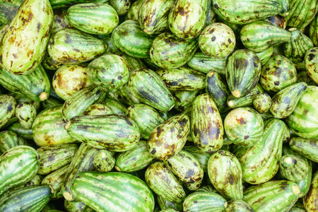 photo of small and fresh watermelon