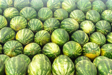 Photo of watermelonsの写真素材