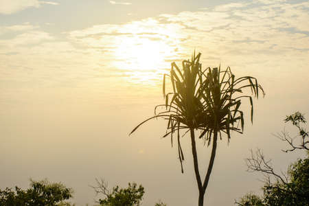 photo of beautiful sun riseの写真素材