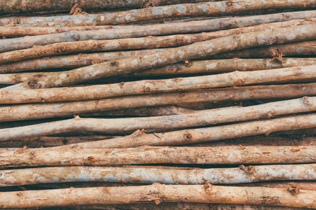 Teak wood.
