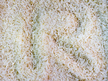 R letter in riceの写真素材