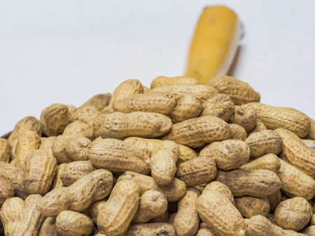 Peanut in the pan.の写真素材