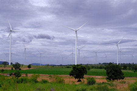 Wind farm electric for industry very clean environment.