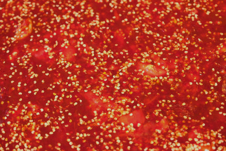 Chili sauce orliginal Thai style  for meatball is very hot and spicy.