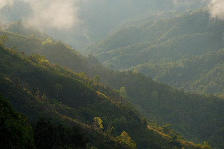 Mountain and fog after rain are very fresh of life.