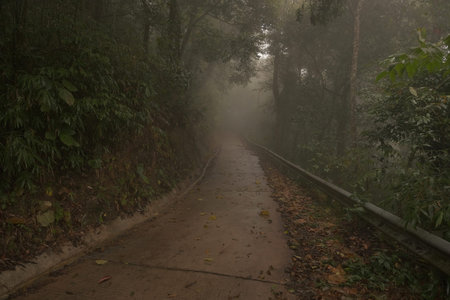 Way in the wild go to top of mountain.