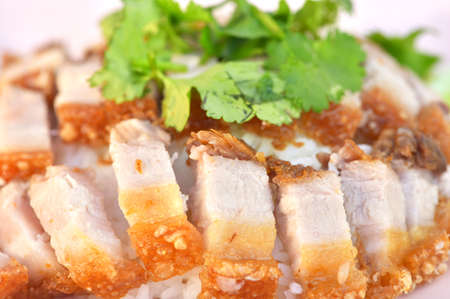Rice and crispy pork belly  is very delicious of the meal in holiday. Food macro photograph.の写真素材
