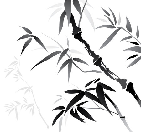 Vector of brush effect bamboo. Black and white bamboo with white background.のイラスト素材