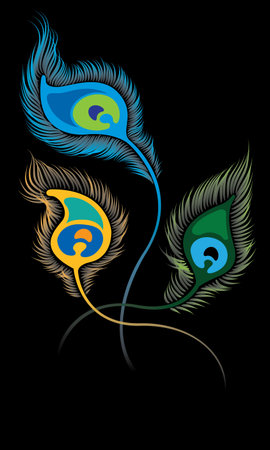 Vector of elegant peacock feathers. Vector. Peacock feather is an auspicious symbol in Hinduism.のイラスト素材
