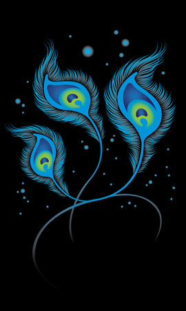 Vector of elegant peacock feathers. Vector. Peacock feather is an auspicious symbol in Hinduism.のイラスト素材