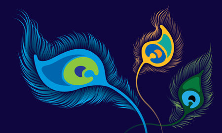 Vector of elegant peacock feathers. Vector. Peacock feather is an auspicious symbol in Hinduism.のイラスト素材