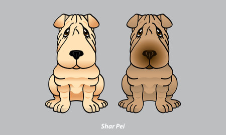 Vector of a cute Shar Pei. With 2 color options. Vector.のイラスト素材