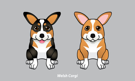 Vector of a cute Corgi. With 2 color options. Vector.のイラスト素材