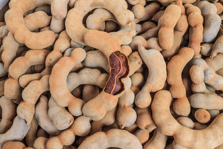 Group of ripe sweet tamarind podsの写真素材