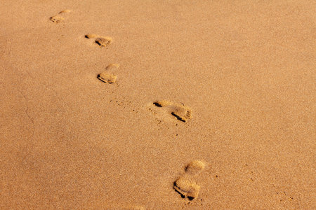 Human footprints in the sand