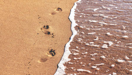 Deep footprints of human bare feet on a beach with smooth brown wet sand to the left of the sea with clear water and a narrow strip of white foam along the edge.の写真素材