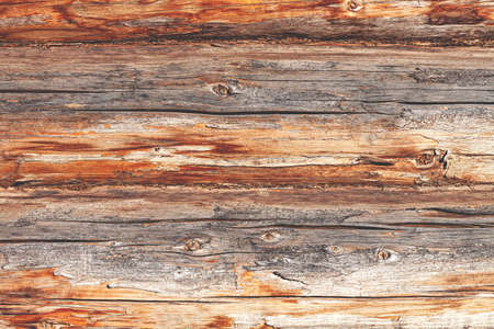 Wooden background from three gray and brown dried, roughly cut logs with traces of knots and peeling barkの写真素材