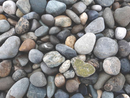 Background of multicolored pebbles, one green pebbles similar to heart in the rightの写真素材