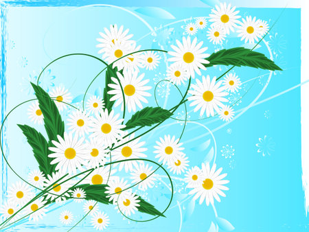Daisies on a blue background flowers and petalsのイラスト素材