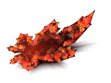 Maple leaf on a white background with shadowのイラスト素材