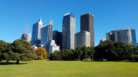 Sydney City from the botanic garden, Australiaの写真素材