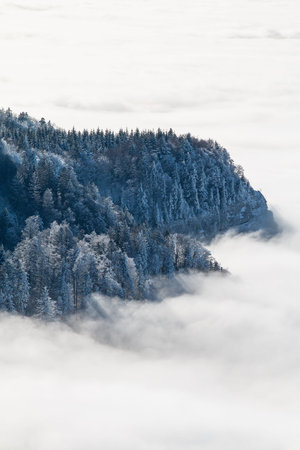 sea of clouds in the mountains