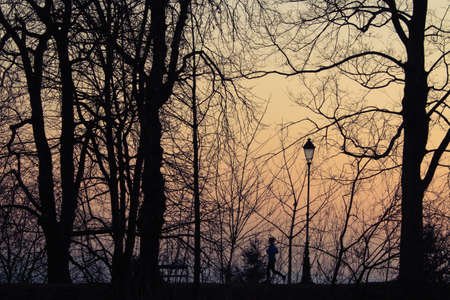 Figure of a Human Jogging in the Parkの写真素材