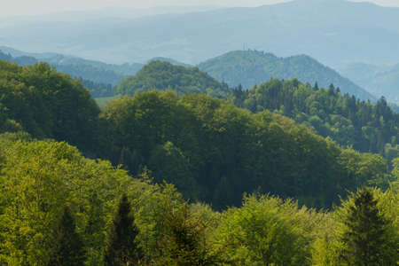 Male Pieniny mountain range, Jarmuta mountain in Polandの写真素材