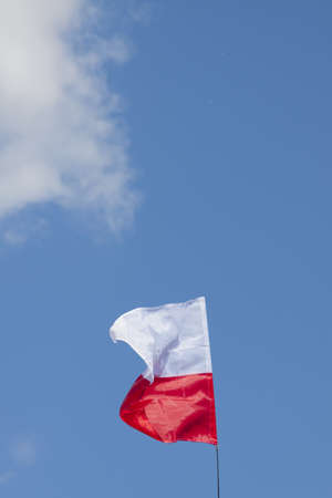 Single Polish flag flyung against blue sky, sunlitの写真素材