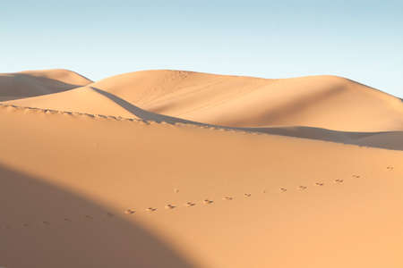 Erg Chebbi dunes at Sahara desert, Morocco, sunlit at sunriseの写真素材