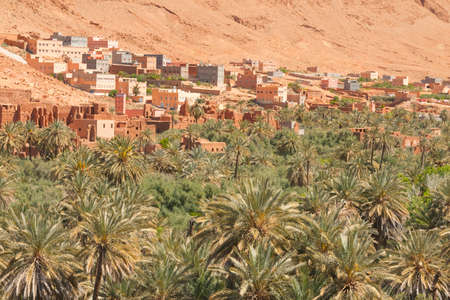 Sunlit Date Palm Orchard at Ait Ijjou by Tinghir in Morocco, Sunlit, Mountains in the backgroundの写真素材