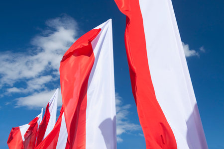  Multiple Polish flags flying in the wind against the sky, sunlit,