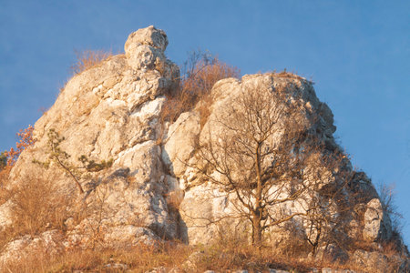 Poland, Malopolska, off Krakow, Rudawa River Valley, Skaly Kmity Height in October, afternoon lightの写真素材
