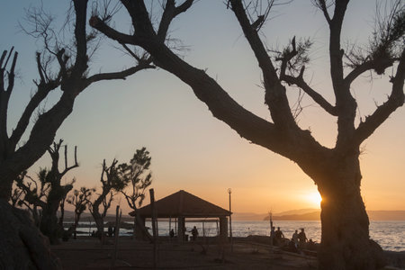 Greece, Crete, Chania, Talos Square Park against the light in the sunsetの写真素材