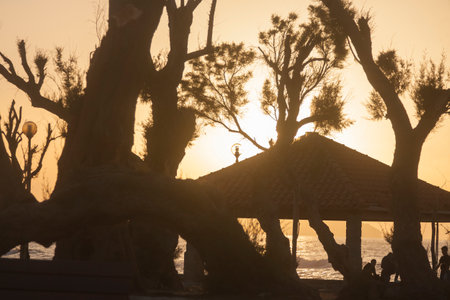 Greece, Crete, Chania, Talos Square Park against the light in the sunsetの写真素材
