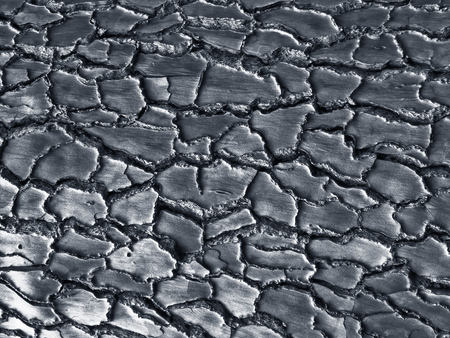 Silver paint toned wood surface texture. Rare wood grain natural pattern for design and decor. Abstract shiny metallic background.の写真素材