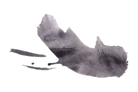 Abstract black and white watercolor background. Colorful aquarelle paint texture. Brush stroke isolated on white . Vivid ink stain pattern. Paint splashの写真素材