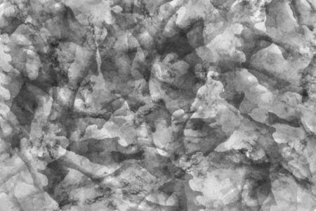 Abstract modern black and white painting . Dry brush painted paper , canvas , wall . Textured monochrome background.の写真素材